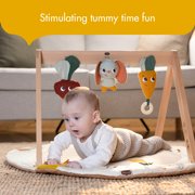 Tiny Love Luxe Developmental Gymini