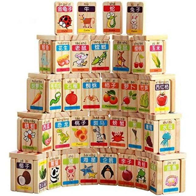 Bloques de madera Domino para aprender chino e inglés