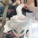 thumbnail image 5 of Halloween Big Bat Bunny Plush Toy Comfortable PP Cotton Hugging Doll for Kid Boy Girl Women Men, 5 of 5
