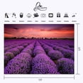 thumbnail image 3 of ABPHOTO Polyester 7x5ft Dusk View Backdrop Ultra Violet Lavender Garden Photography Background Color of the Year 2018 Love Wedding Party Photo Shooting Props, 3 of 5