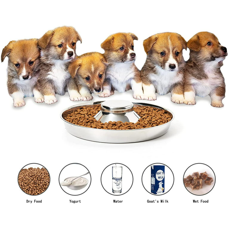 Dog Feeder Bowl, Stainless Steel Puppy Bowls for Small Dogs, 11.8'', Puppy  Saucer, Water Weaning Bowl, Puppy Food Bowls for Litters 