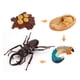 thumbnail image 4 of Fiudx Ofertas flash Artículos en oferta Figura de insecto de 4 piezas, ciclo de vida, cría de plástico hasta período, 4 of 4