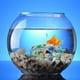 thumbnail image 3 of 1 juego de piedras luminosas para acuario, decorativas, de cristal, para pecera, de colores variados, 3 of 5