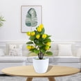 thumbnail image 4 of BESTYASH 2Ud Bonsái Falso Decorativo Ideal Para Adornar Mesas Y Estanterías Interiores, 4 of 8