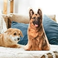 thumbnail image 1 of Fiudx Ofertas del día Almohada de peluche de gatito simulado, juguete de peluche, perro de peluche, muñeca Bomei, 1 of 6