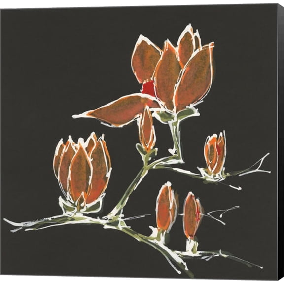 Magnolia on Black IV by Chris Paschke, Canvas Wall Art