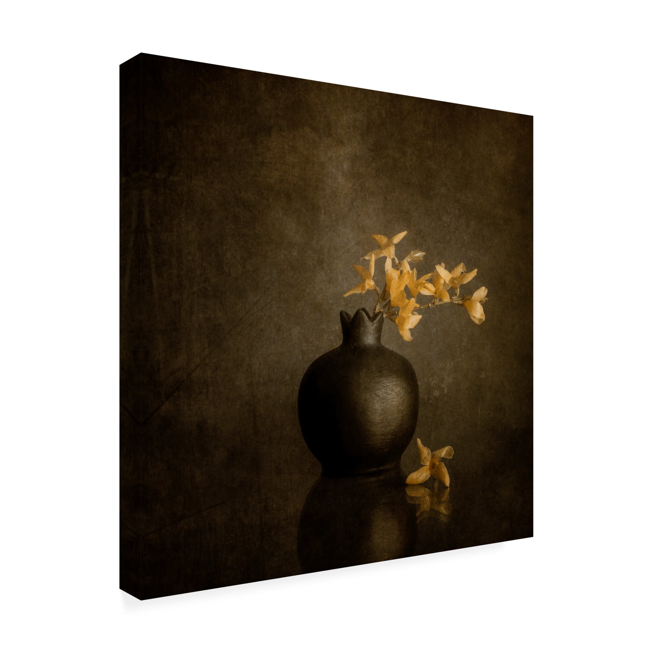 Canvas Wall Art - Cicek Kiral 'Calm Emotions' Wall Art for Living Room, Bedroom, or Office Décor by Trademark Fine Art - 14 x 14 Inches