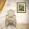thumbnail image 3 of Hellmann, Stan 15x18 Gold Ornate Wood Framed with Double Matting Museum Art Print Titled - Mushrooms, 3 of 4