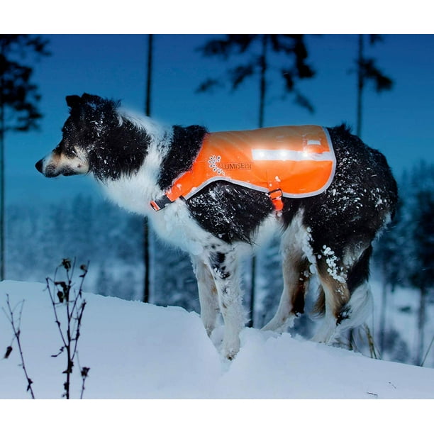 ATTOE LED Dog Vest Orange Safety Jacket with Reflective Strips USB Rechargeable LED Lights Increase Your Dog s Visibility When Walking