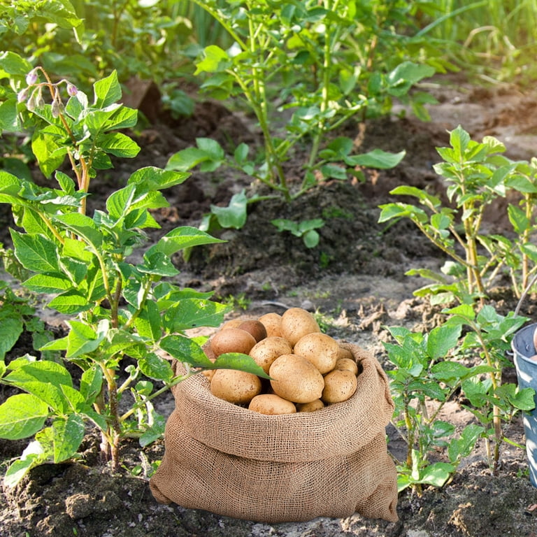 Potato Storage Bag