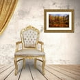 thumbnail image 3 of Jenny Rainbow Fine Art 32x23 Gold Ornate Wood Framed with Double Matting Museum Art Print Titled - Autumn Reflections, 3 of 4