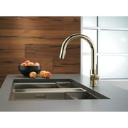 Delta 9159-Dst Trinsic Pull-Down Kitchen Faucet - Nickel