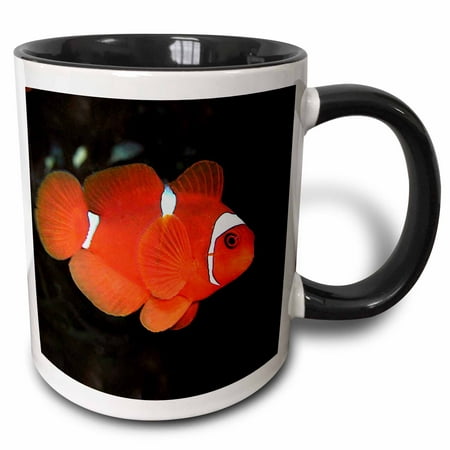 3dRose Clownfish - Two Tone Black Mug, 11-ounce (Best Food For Clownfish)