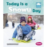 Today Is a Snowy Day
