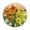 ZZNZ09023029, variant on Zhmjortal Clock for Living Room, Sunflower And Animal Wall Clock, Contemporary Home Decor Easy to Read Wall Clock for Living Room, Bedroom, Bathroom and Kitchen, 10 Inch