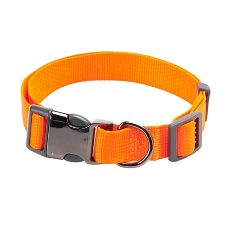 Vibrant Life Hunter Dog Collar with Metal Clasp, Orange, Large, 16-26 in - Walmart.com