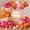 Orange and Pink, variant on Carnival Circus Balloons Garland Arch Kit for 164pcs Red Blue Yellow Rainbow Multicolor with Confetti Balloons for Carnival Theme Birthday Party Decorations