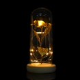 thumbnail image 4 of Cover Preserved Rose Flower LED Light With Glass Cover & Wooden Base Valentines'Day Wedding Gift, 4 of 8