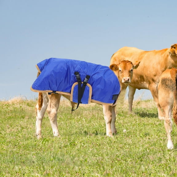 Raindrops Cow Calf Warm Coat, Windproof Vest for Cold Weather, Ranch Use Outerwear