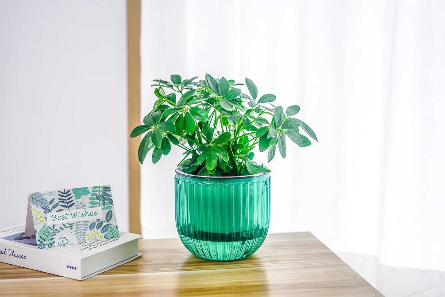 2 Pack Self Watering Hanging Planters Indoor Flower Pots, 6.5 Inch Outdoor Hanging Basket, Plant Hanger with Hooks Drainage Holes for Garden Home
