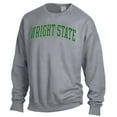 thumbnail image 2 of Men's ComfortWash Gray Wright State Raiders Garment Dyed Pullover Sweatshirt, 2 of 3