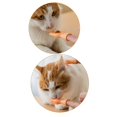 thumbnail image 3 of 6 Piezas Divertidas Mini Manos Juguetes Creativos para Dedos Pequeña Mano Se Burla del Juguete para Mascotas, 3 of 6