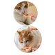 thumbnail image 3 of 6 Piezas Divertidas Mini Manos Juguetes Creativos para Dedos Pequeña Mano Se Burla del Juguete para Mascotas, 3 of 6