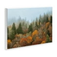 thumbnail image 3 of Stupell Industries Autumn Mountain Overview Wall Plaque Art design by D. Burt, 10 x 15, 3 of 7
