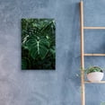 thumbnail image 4 of Epic Art 'Tropical 3' by Photoinc Studio, Acrylic Glass Wall Art, 16"x24", 4 of 8