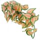 thumbnail image 1 of Planta simulada de ratán, simulación de plantas acuáticas, ratán, pecera, paisajismo, planta de plástico, ratán, valor excepcional Jadeshay A, 1 of 8