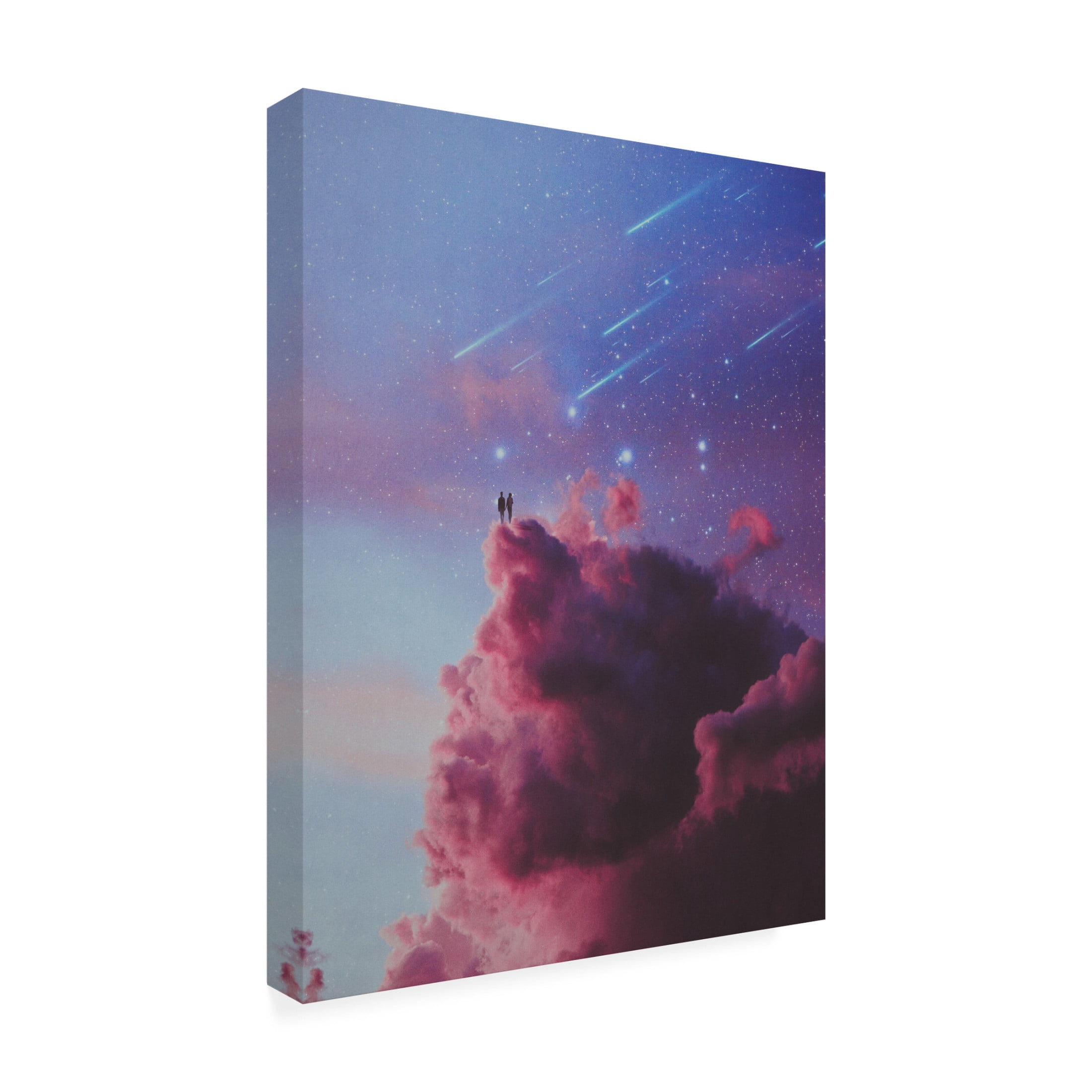 Trademark Fine Art spacerocket art  89 Canvas Wall Art