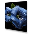thumbnail image 2 of Designart "Morning Glory Garden Jewel in Blue and Black" Floral Canvas Wall Art - Traditional Blue Morning Glory Bedroom Canvas Wall Art, 2 of 6