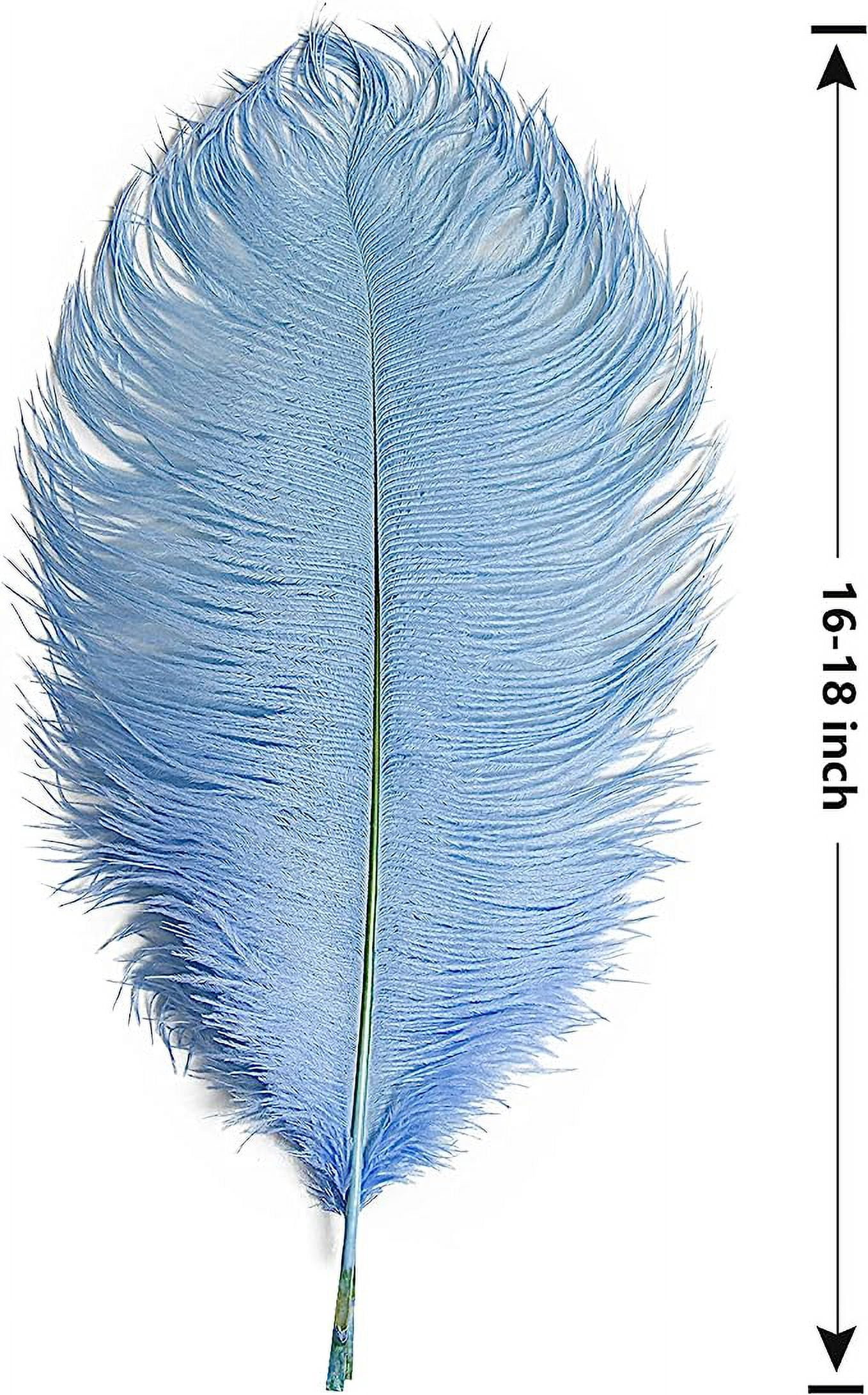ERDOUY 12pcs Baby Blue Ostrich Feathers Natural Bulk 16-18Inch 40cm-45cm for Wedding Party Centerpieces Easter Gatsby and Home Decorate Ostrich Feathers