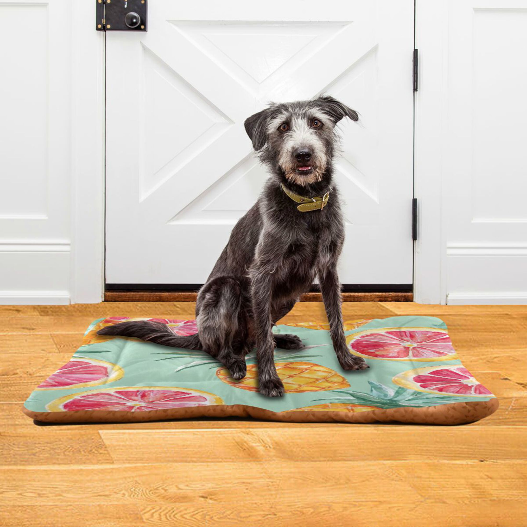 Qxltty Pineapple Blood Orange Ped Pad Wear-resistant and Hard to Bite Through Sleeping Pad for Small Medium Large Dogs Winter Pet Bed 36×24in