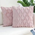 thumbnail image 1 of Dinheiro JOJUSIS Fundas de Almohada Decorativas de Terciopelo de Lana Corta de Felpa Fundas de cojín de Estilo Lujo Fundas de Almohada de Piel sintética para sofá Dormitorio Paquete de 2 18 x 18, 1 of 6