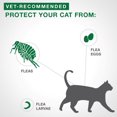 thumbnail image 4 of Advantage II Flea Treatment for Kittens, 4 of 7
