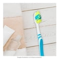 thumbnail image 4 of Cepillo Dental Prichos Doraldent Familiar 5 Piezas, 4 of 4