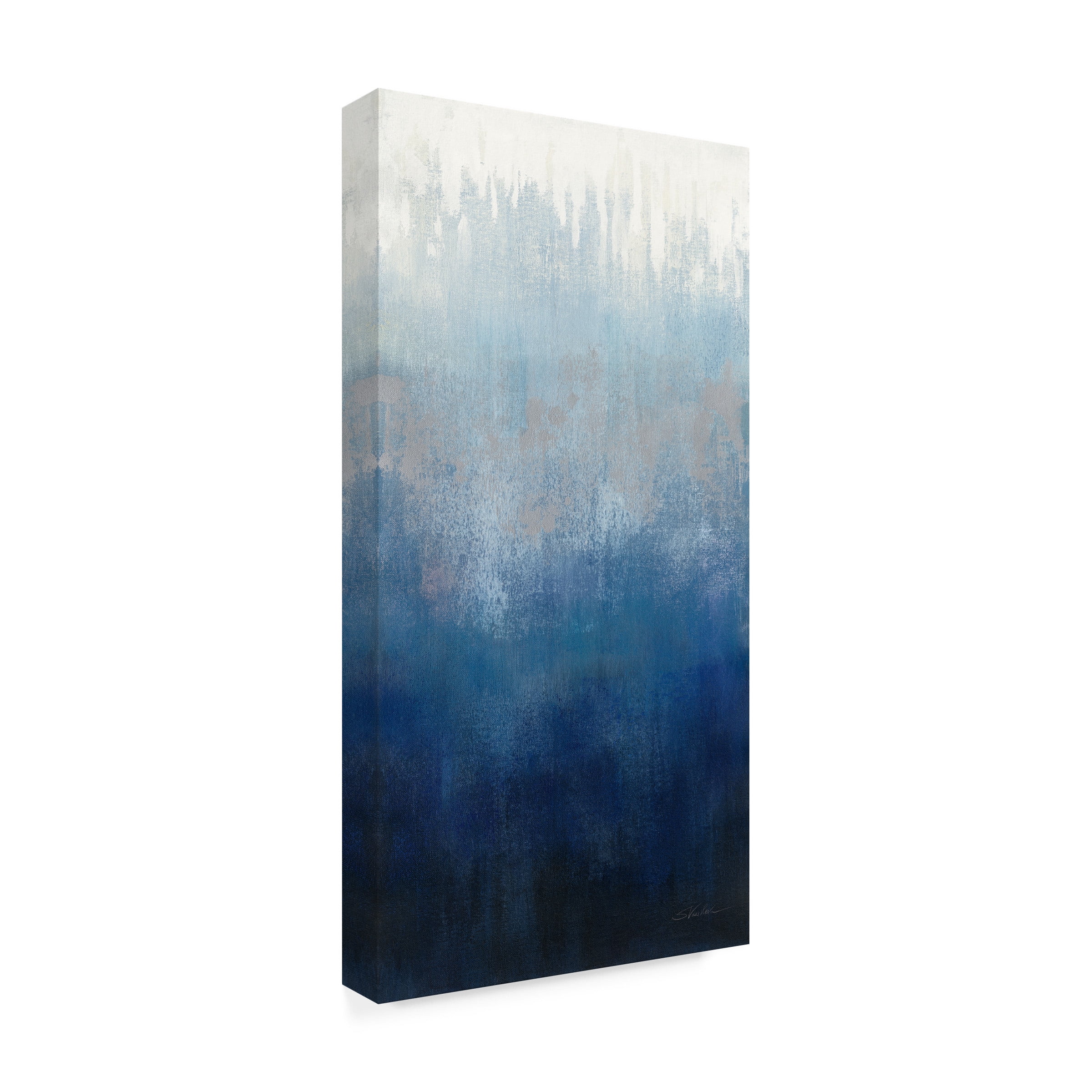 Silvia Vassileva 'Silver Wave I' Canvas Art