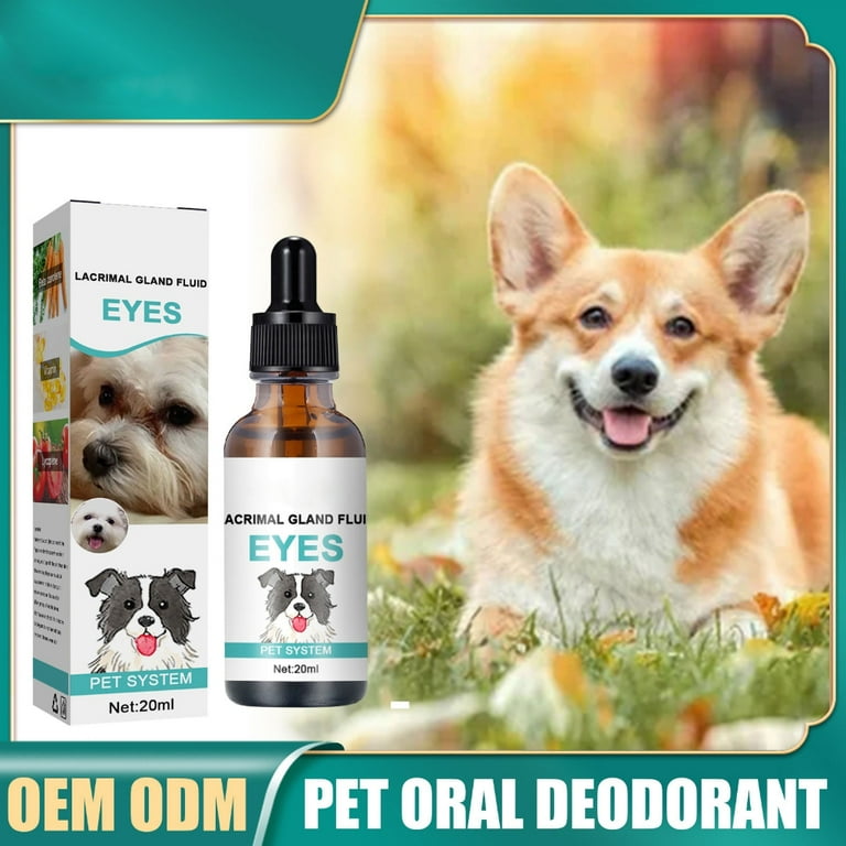 Best drops for dog dry shop eye