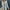 Light Blue, variant on Blmnix Casual Jackets for Women White Blazer Work Long Sleeve Solid Long Suit Teens Tops 2024