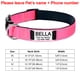 thumbnail image 3 of Collares de nailon reflectantes ajustables para perros con etiqueta de identificación con nombre grabada personalizada, collar luminoso personalizado para cachorros, collar unisex grande, 3 of 5