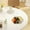 White, variant on Hexagonal Plates Impregnable Dinner Plates Dishwasher Microwave Safe Plastic Plates Reusable Lightweight Plates For Kitchen Or Camping 6.69x6.69 Inches