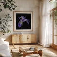 thumbnail image 3 of Blue Flag Iris - Photography Floral Botanical Flowers Nature Garden Scenic Minimalist Oak Framed Wall Art Print 8 x 8 inches, 3 of 8