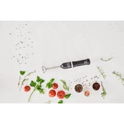 BLACK+DECKER Kitchen Wand Blender Kit, Black (BCKM1011K10)