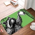 thumbnail image 6 of 1pc Raccoon with Toilet Paper Absorbent Non-Slip Bathroom Thickened Flannel Rug Decor,Soft,Quick Drying,Suitable For Indoor/outdoor Use,Bathrooms,Bedrooms,Kitchens,Terrace,Laundry Rooms,16"x24", 6 of 9