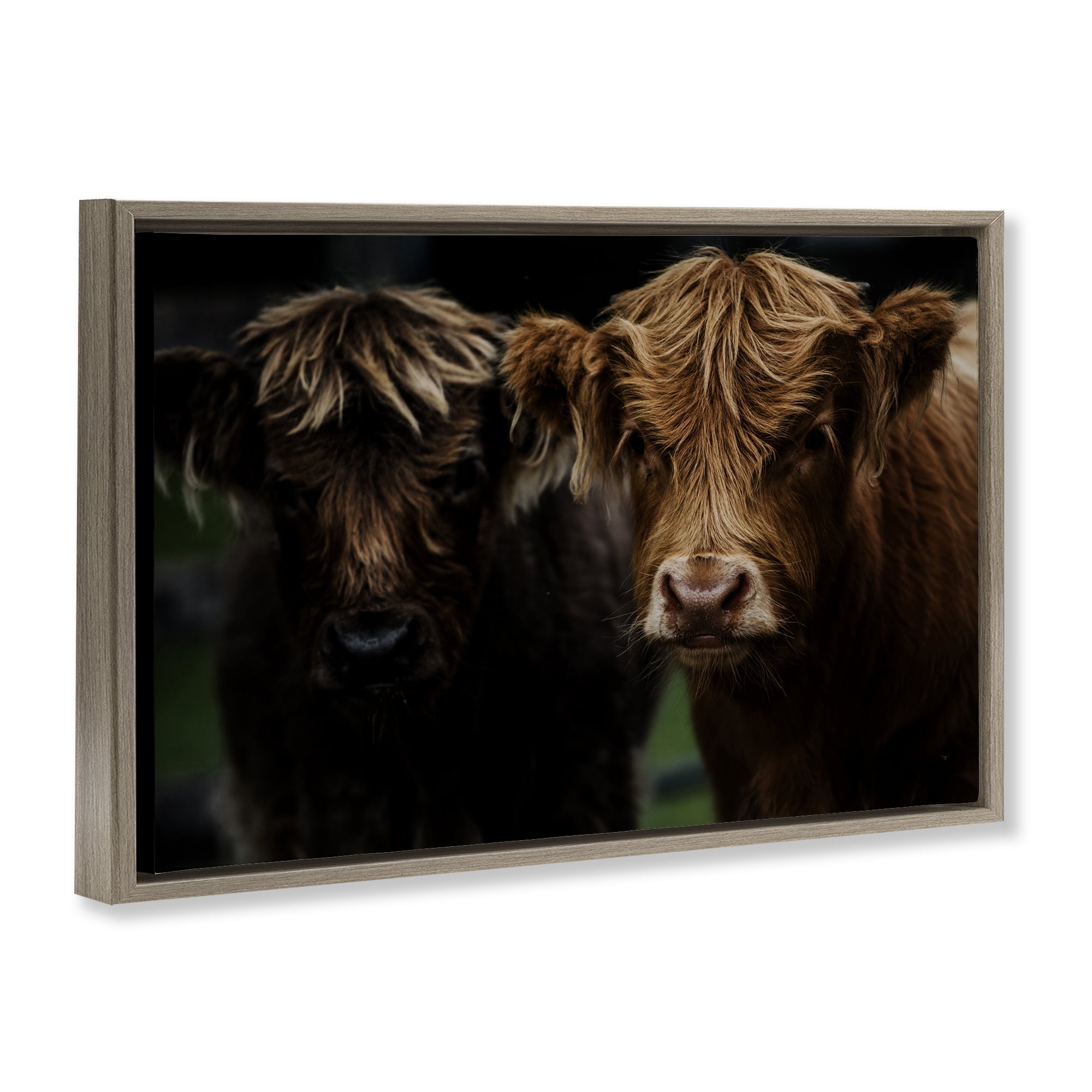 Cow Faces Highland Pair Brown Framed Floater Canvas Wall Art, design by Amy Carroll