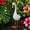 A, variant on Metal Duck Garden Statue, Porch Goose Statue, Large Resin Realistic Cement Finished Lawn Ornament Garden Decor Front Yard Backyard Outdoor Durable Plastic Art for Patio Decorations