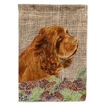 Carolines Treasures SS4099-FLAG-PARENT Sussex Spaniel Flag multicolor
