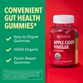 thumbnail image 5 of Havasu Apple Cider Vinegar ACV Gummies for Natural Detox Weight Loss and Belly Control, 60 Count, 5 of 11