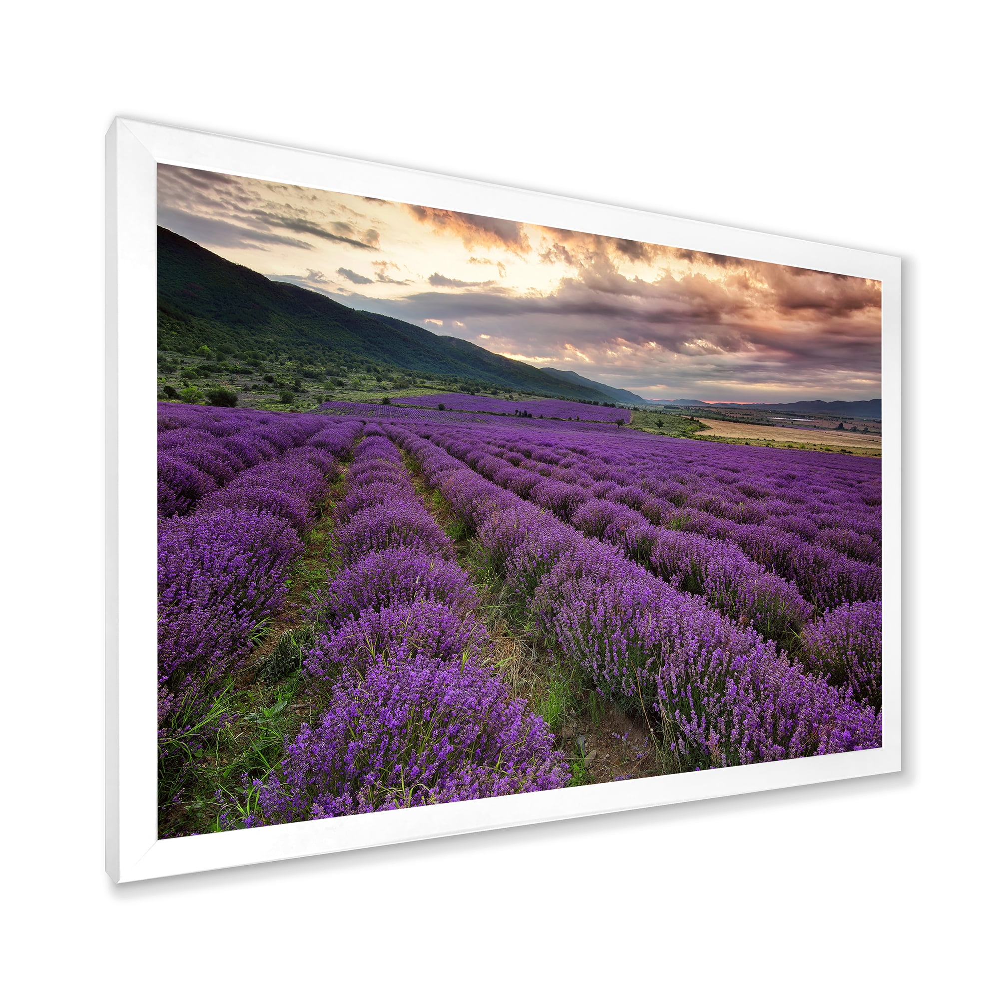 Designart 'Lavender Field At Sunrise I' Farmhouse Framed Art Print
